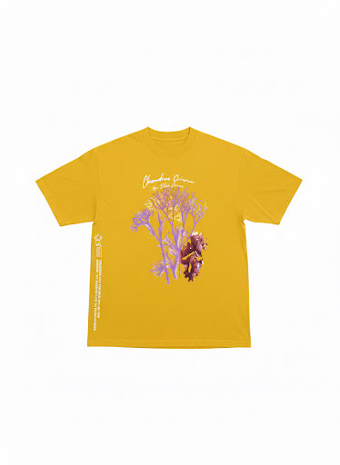 ‘92 Ways To Live’ Plus Given x ITAL