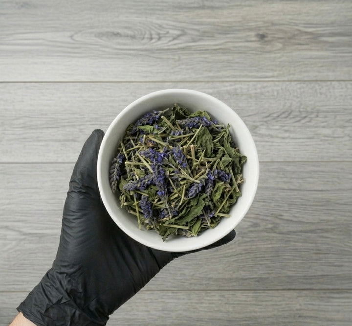 Blue Vervain