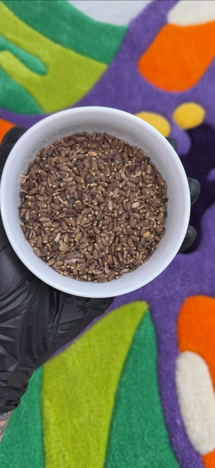 Milk Thistle Seed
